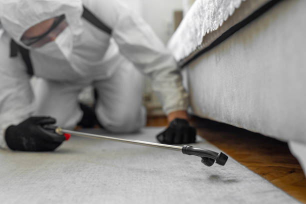 Professional Termite Control technician working in Rome City, IN