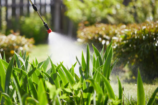 24/7 Emergency Termite Control experts in Rome City, IN