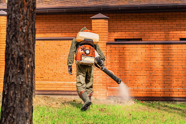 Trusted Cockroach Control service in Rome City, IN - Nex Pest Control